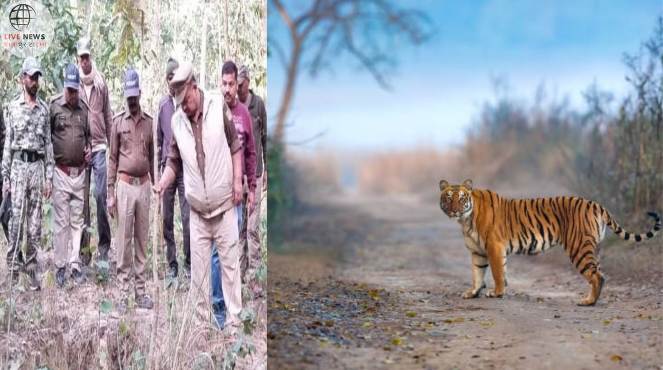 DFO ने किया Forest निरीक्षण, बाघ के हमले से गांव में दहशत...