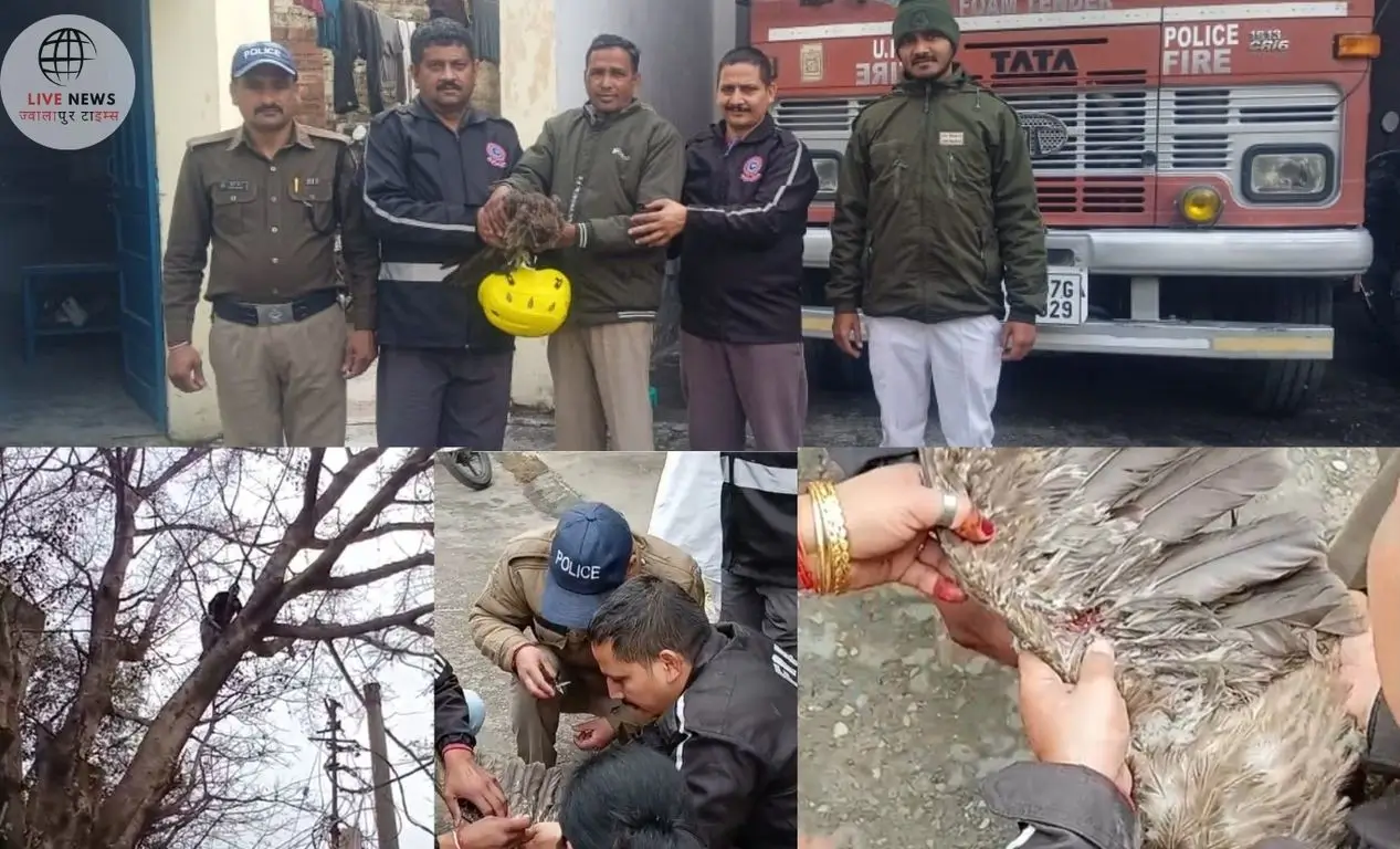 हरिद्वार पुलिस बनी 'परिंदों की फरिश्ता', पेड़ पर फंसे बाज को बचाया!