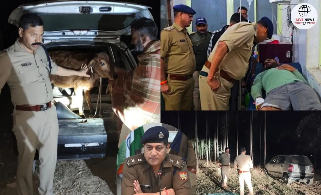 "हरिद्वार पुलिस द्वारा गौ तस्करों की गिरफ्तारी के बाद की तस्वीर।"