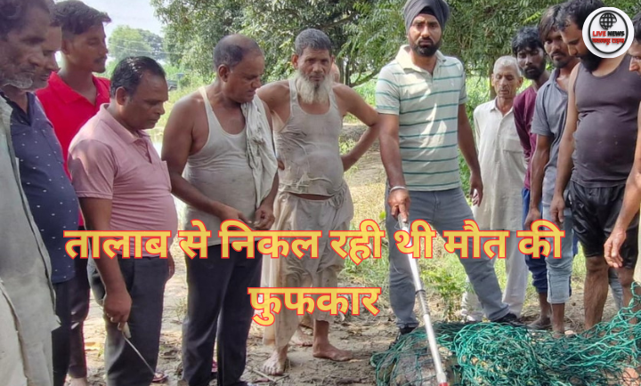 अकोढा कला गांव में वन विभाग की टीम द्वारा पकड़े गए मगरमच्छ को जाल में बांधते हुए, आसपास खड़े ग्रामीण और वनकर्मी।