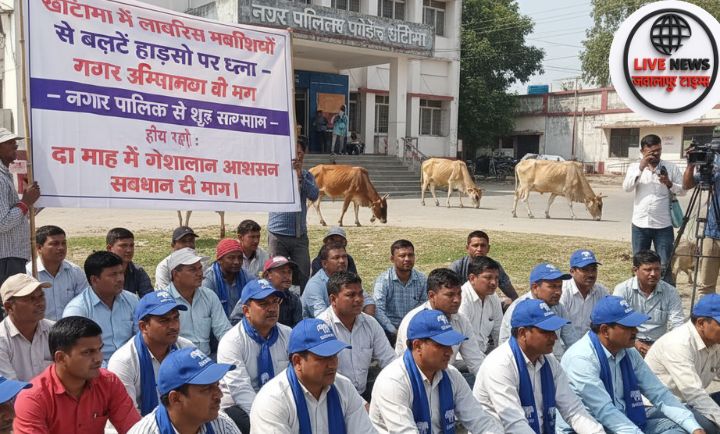 खटीमा में लावारिस मवेशियों की समस्या को लेकर नगर पालिका में धरना देते भीम आर्मी कार्यकर्ता