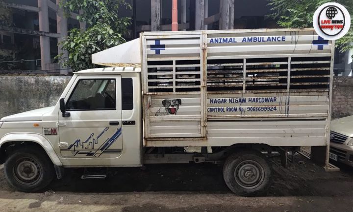 नगर निगम हरिद्वार ने कुत्तों से जुड़ी शिकायतों के लिए जारी की हेल्पलाइन…