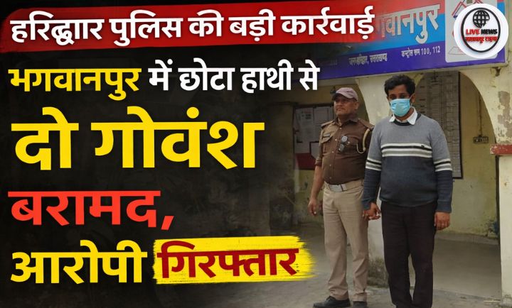 हरिद्वार के भगवानपुर में पुलिस द्वारा छोटा हाथी वाहन से क्रूरता पूर्वक ले जाए जा रहे गोवंशीय पशुओं को बरामद करते हुए पुलिस टीम