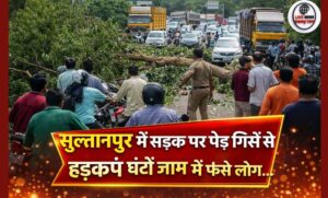 सुल्तानपुर में सड़क पर पेड़ गिरने से हड़कंप घंटों जाम में फंसे लोग…