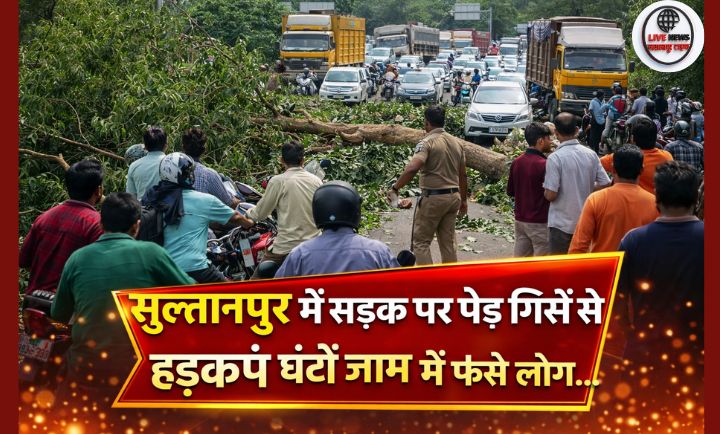 सुल्तानपुर में सड़क पर गिरा बड़ा आम का पेड़, जाम में फंसे वाहन