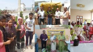 हरिद्वार के किसानों के लिए बड़ी खबर, चंदन समेत इन औषधीय पौधों की खेती पर जोर; निःशुल्क मिलेंगे पौध-बीज…