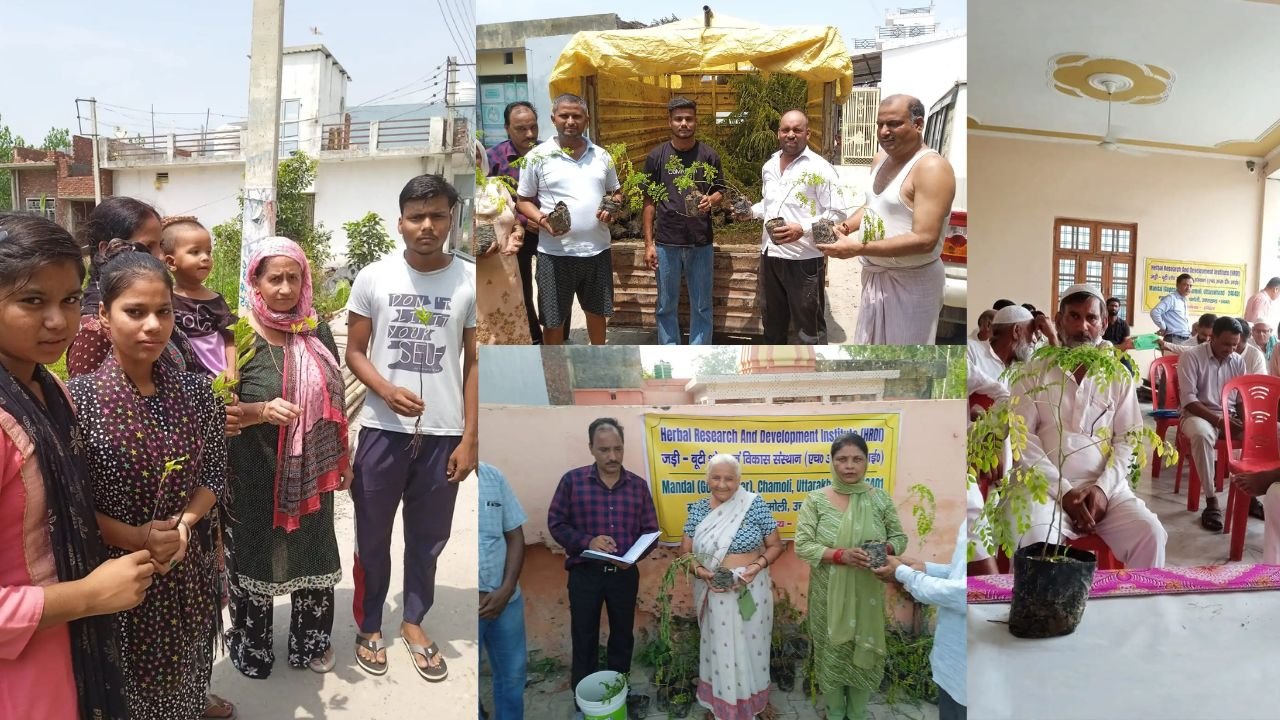 हरिद्वार के किसानों के लिए बड़ी खबर, चंदन समेत इन औषधीय पौधों की खेती पर जोर; निःशुल्क मिलेंगे पौध-बीज…