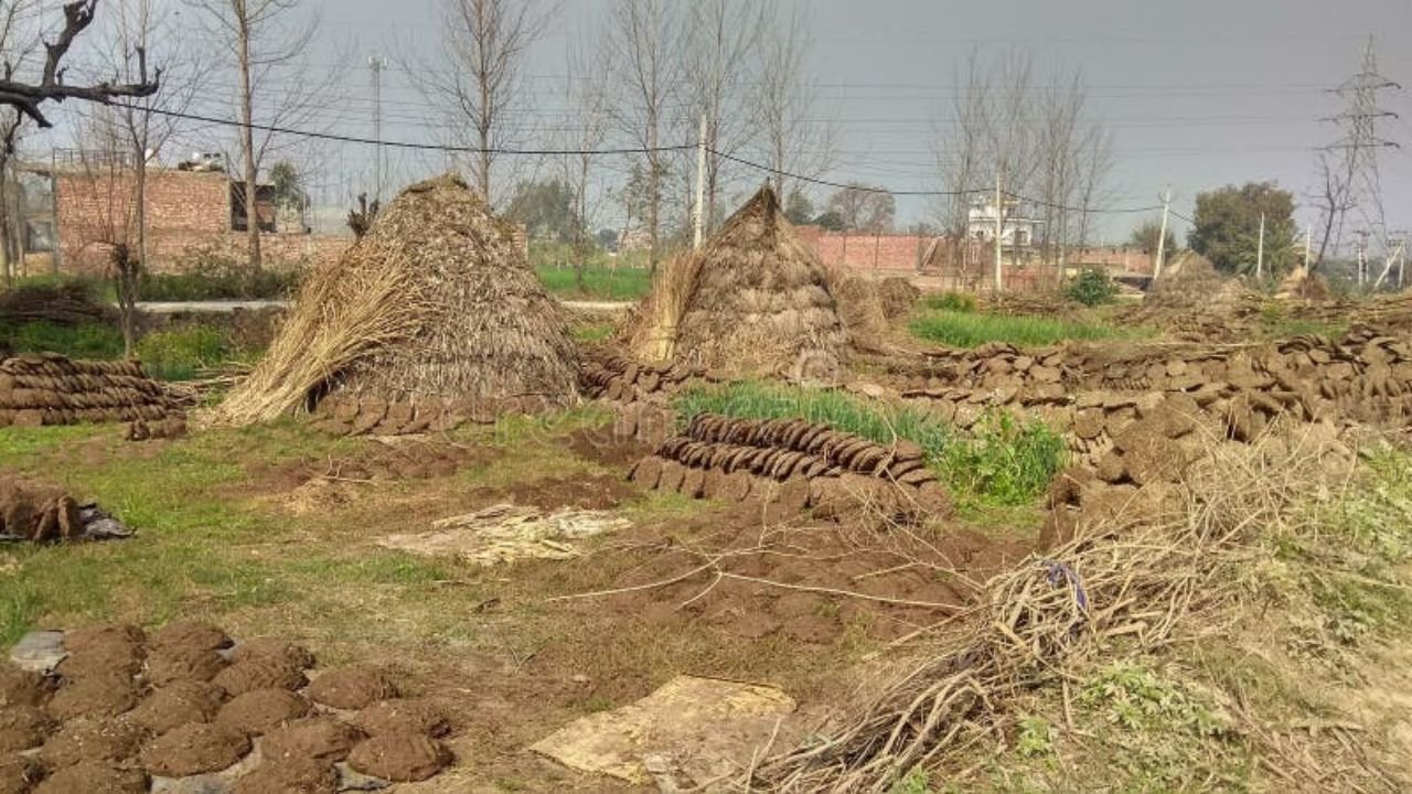 लक्सर में हाईकोर्ट के आदेश के अनुपालन में भूमि पर बाउंड्री निर्माण के लिए प्रशासन द्वारा पुलिस सुरक्षा के निर्देश